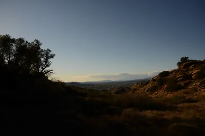 DSC_5542 (Large).JPG